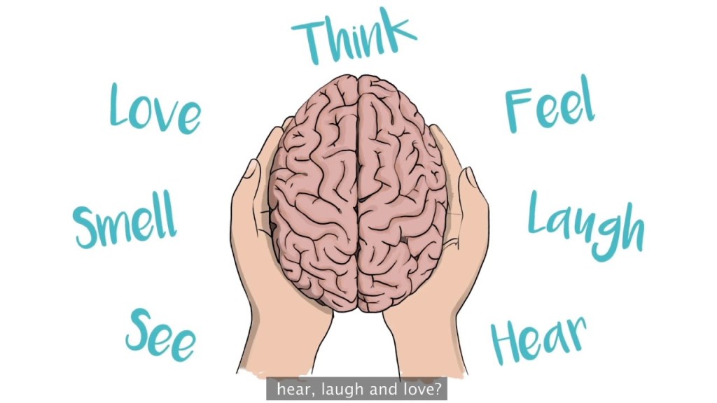 Illustration of a human brain held in two hands, surrounded by words representing senses and emotions: 'Think', 'Feel', 'Laugh', 'Hear', 'Love', 'Smell', and 'See'.
