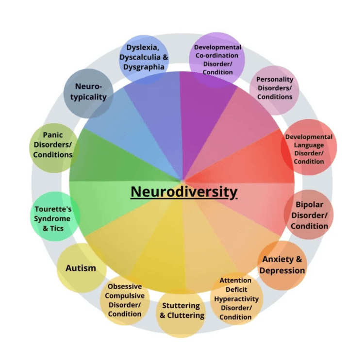 A colorful diagram illustrating various conditions and disorders related to neurodiversity, with 'Neurodiversity' prominently displayed at the center and surrounding categories including Autism, Dyslexia, Anxiety, and others.