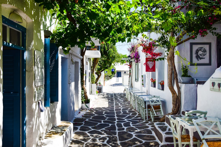 Un estrecho callejón en la isla de Míkonos, con edificios encalados, buganvillas coloridas y mesas de café al aire libre bajo un dosel de hojas verdes.