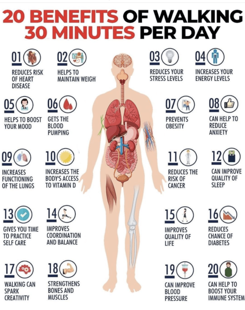 Infografía que muestra los 20 beneficios de caminar 30 minutos al día, incluyendo aspectos de salud física y mental, como la reducción del riesgo de enfermedades y el estrés.