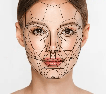 A digitally illustrated face with geometric lines and facial recognition markers overlaying the features, representing symmetry and structure in human facial aesthetics.