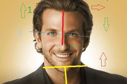 A diagram illustrating facial symmetry with labeled axes and arrows indicating measurements on a man's face.
