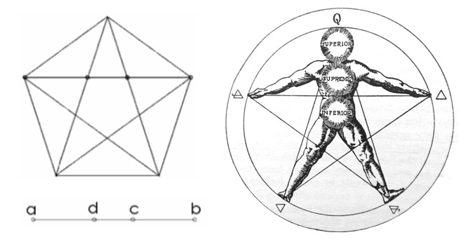 Diagram illustrating geometric relationships including a pentagon and the Vitruvian Man, representing proportionality and harmony in human design.