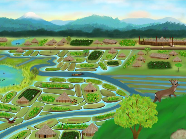 A colorful illustration depicting an ancient Indigenous water management system in a lush landscape, featuring thatched roof huts, agricultural plots, and water channels surrounded by greenery and hills.