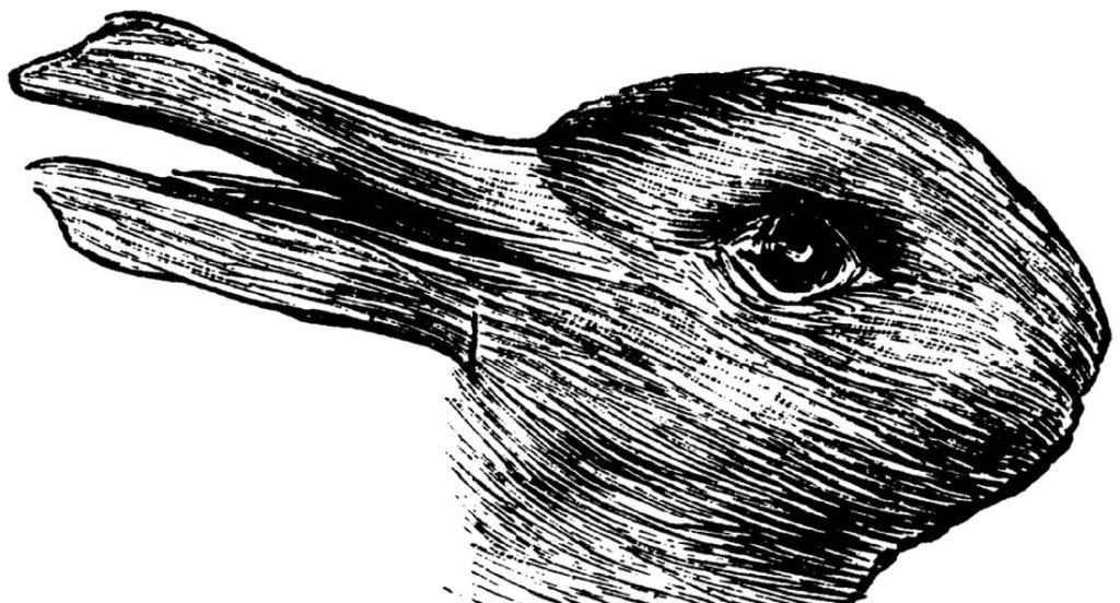 An optical illusion depicting a figure that can be perceived as either a duck or a rabbit, illustrating the concept of subjective perception.