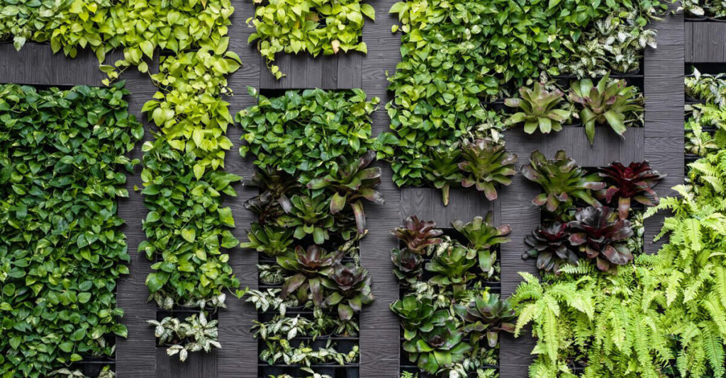 Pared verde con diversas plantas trepadoras y suculentas dispuestas de manera vertical, creando un jardín vertical en un entorno urbano.
