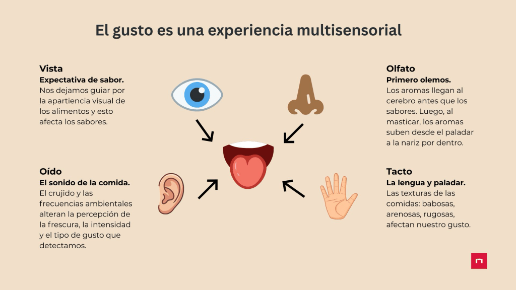 An infographic illustrating the concept of taste as a multisensory experience, highlighting the roles of sight, sound, smell, and touch in influencing flavours. Each sensory aspect is represented with corresponding icons: an eye for sight, an ear for sound, a nose for smell, a mouth for taste, and a hand for touch.